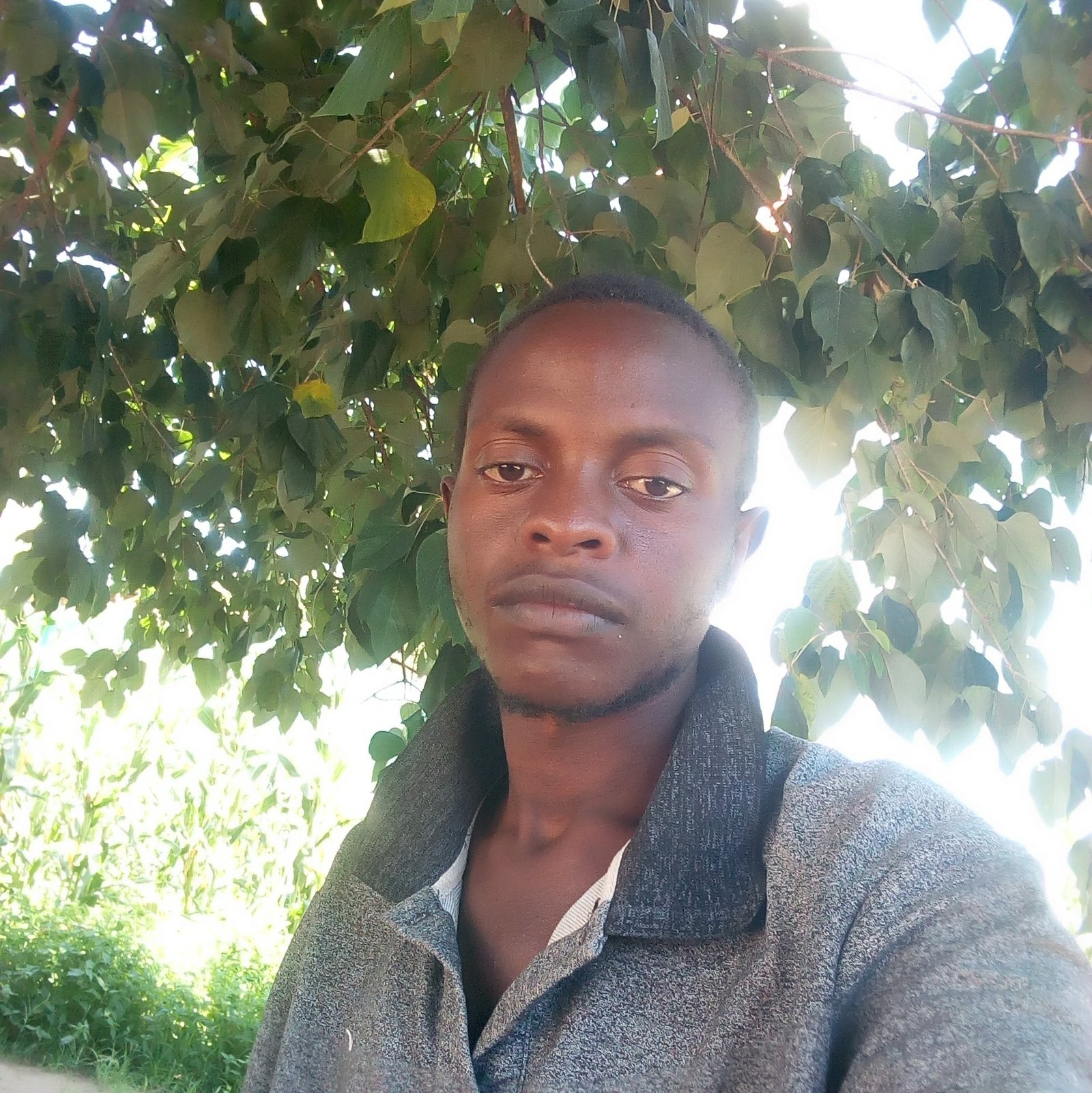 165565015 2807457549521693 6915332776432144195 n